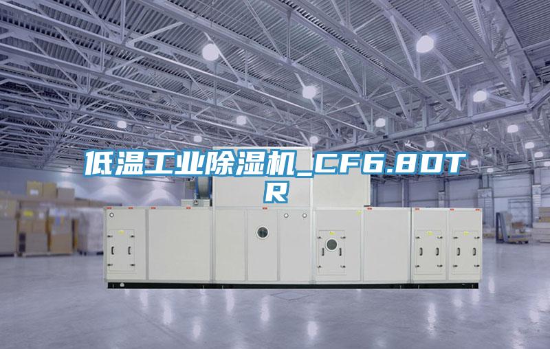 低温工业除湿机_CF6.8DTR