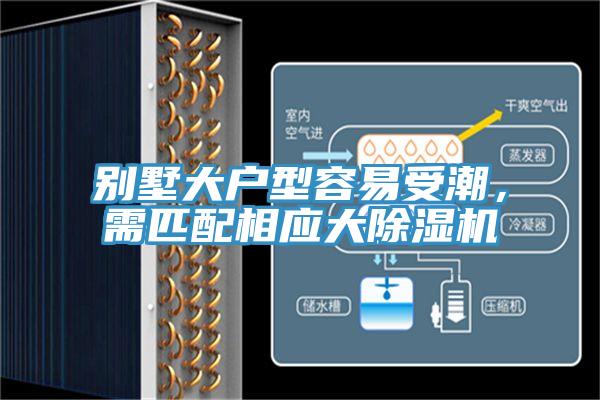 别墅大户型容易受潮，需匹配相应大除湿机