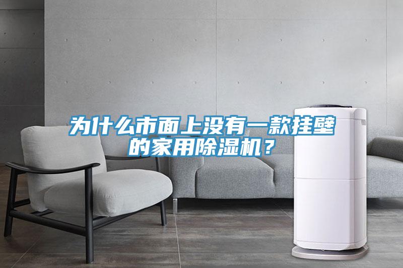 为什么市面上没有一款挂壁的家用除湿机？