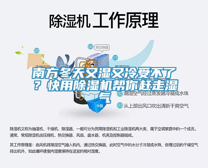 南方冬天又湿又冷受不了？快用除湿机帮你赶走湿气