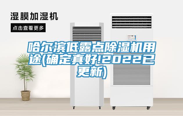 哈尔滨低露点除湿机用途(确定真好!2022已更新)