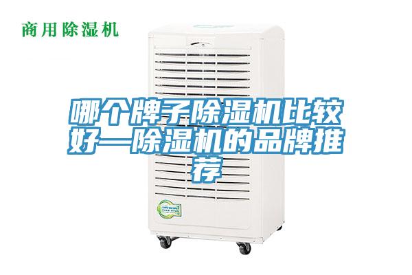 哪个牌子除湿机比较好—除湿机的品牌推荐