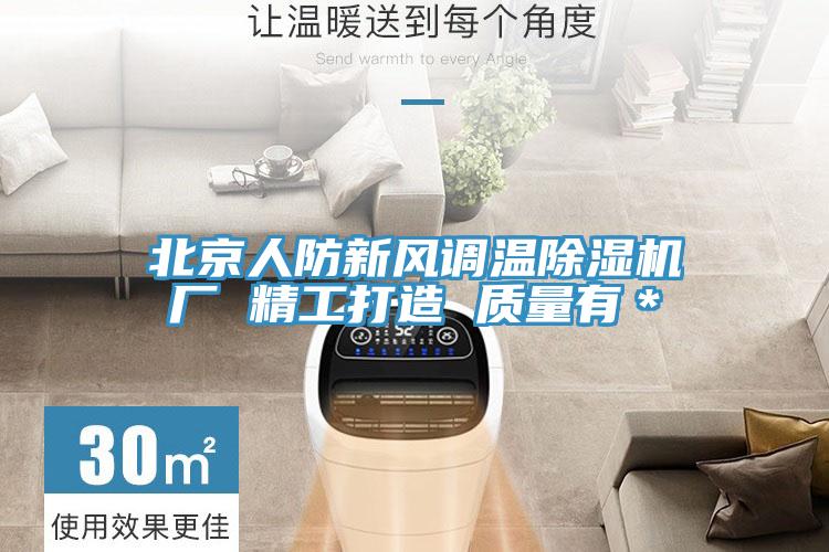 北京人防新风调温除湿机厂 精工打造 质量有＊