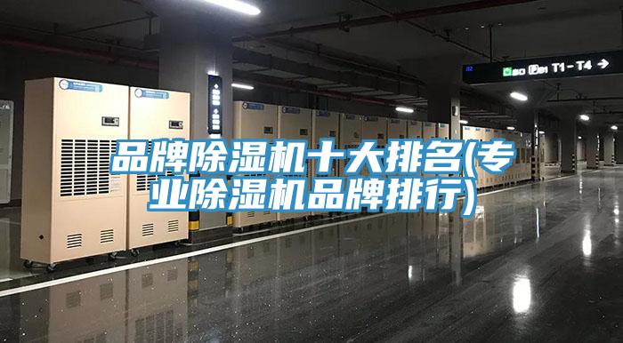 品牌除湿机十大排名(专业除湿机品牌排行)