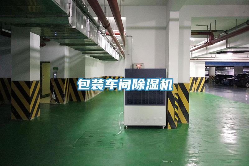 包装车间除湿机