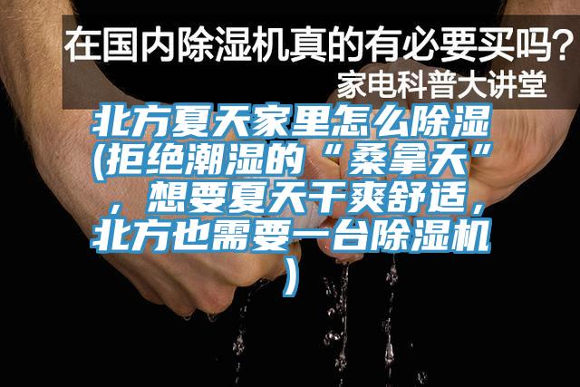 北方夏天家里怎么除湿(拒绝潮湿的“桑拿天”，想要夏天干爽舒适，北方也需要一台除湿机)