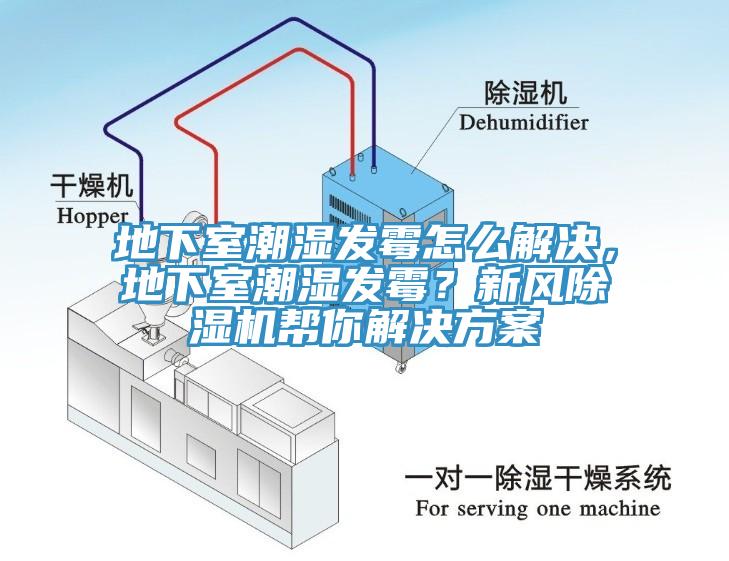 地下室潮湿发霉怎么解决，地下室潮湿发霉？新风除湿机帮你解决方案