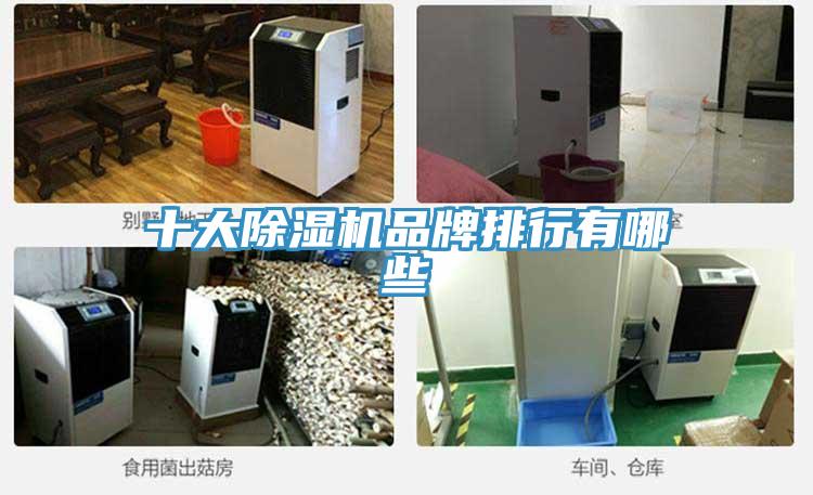 十大除湿机品牌排行有哪些
