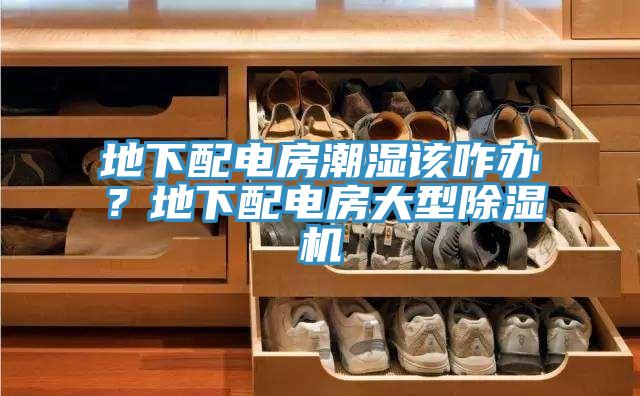 地下配电房潮湿该咋办？地下配电房大型除湿机