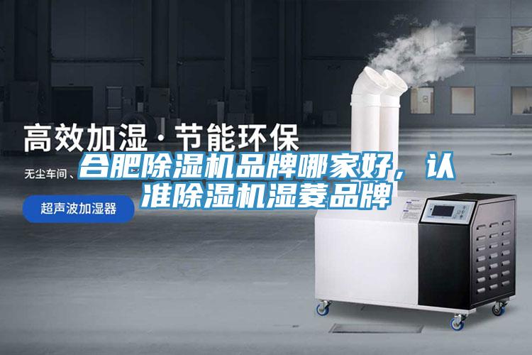 合肥除湿机品牌哪家好，认准除湿机湿菱品牌