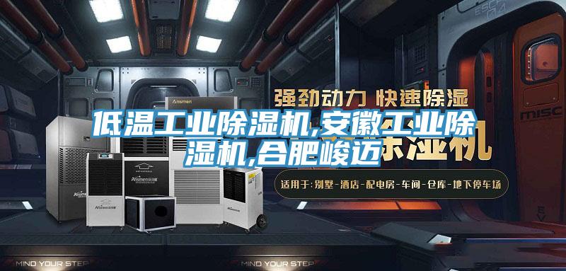 低温工业除湿机,安徽工业除湿机,合肥峻迈