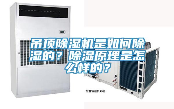 吊顶除湿机是如何除湿的？除湿原理是怎么样的？