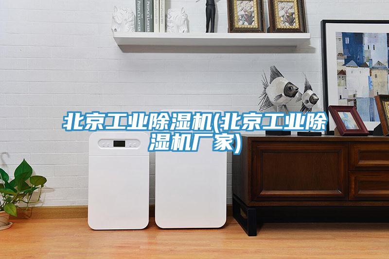 北京工业除湿机(北京工业除湿机厂家)