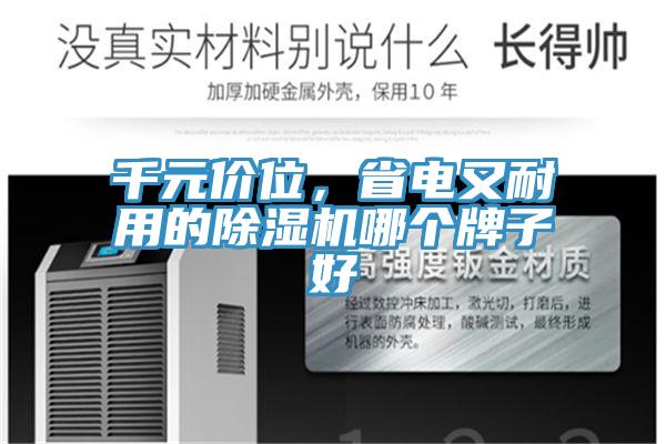 千元价位，省电又耐用的除湿机哪个牌子好