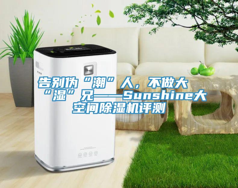 告别伪“潮”人，不做大“湿”兄——Sunshine大空间除湿机评测