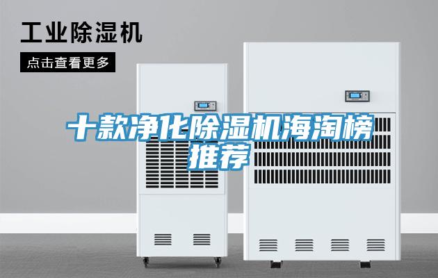 十款净化除湿机海淘榜推荐