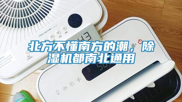 北方不懂南方的潮，除湿机都南北通用