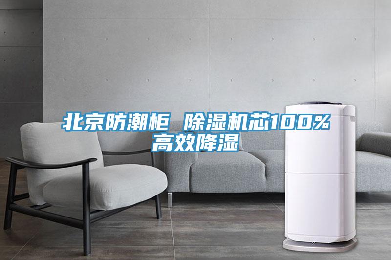 北京防潮柜 除湿机芯100%高效降湿