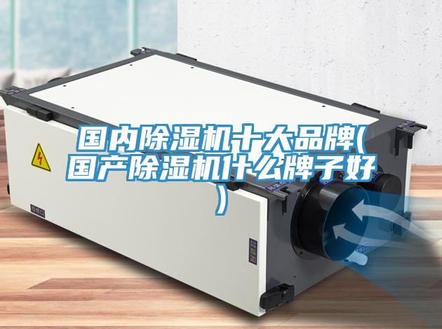 国内除湿机十大品牌(国产除湿机什么牌子好)