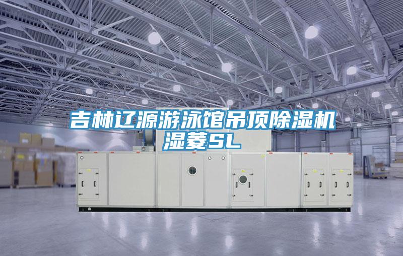 吉林辽源游泳馆吊顶除湿机湿菱SL