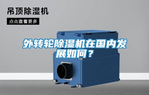 外转轮除湿机在国内发展如何？