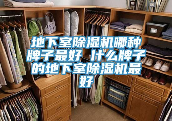 地下室除湿机哪种牌子最好 什么牌子的地下室除湿机最好
