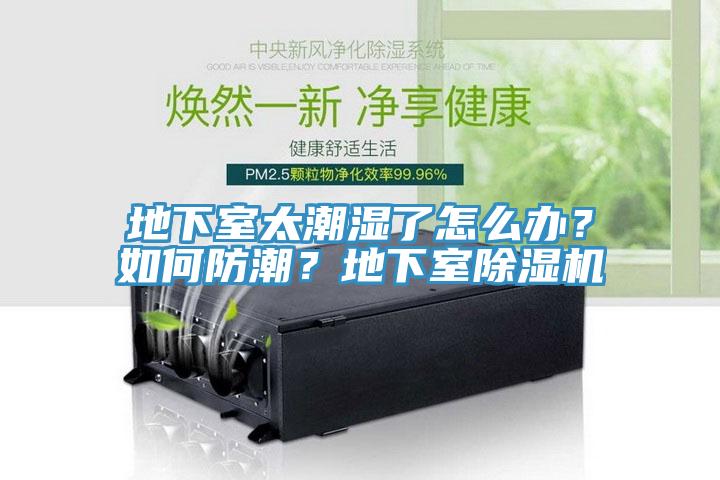 地下室太潮湿了怎么办？如何防潮？地下室除湿机