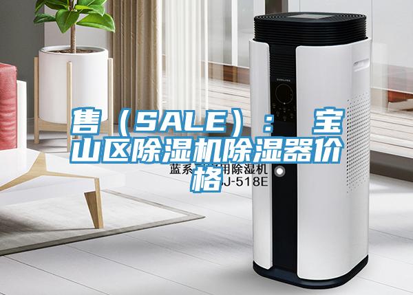 售（SALE）： 宝山区除湿机除湿器价格