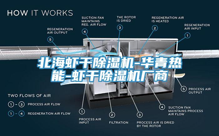 北海虾干除湿机-华青热能-虾干除湿机厂商
