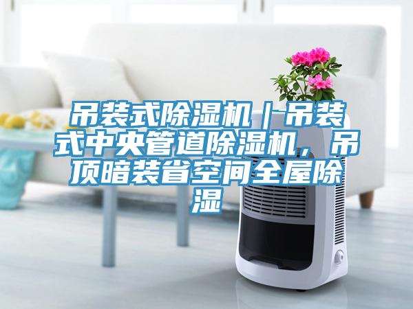 吊装式除湿机｜吊装式中央管道除湿机，吊顶暗装省空间全屋除湿