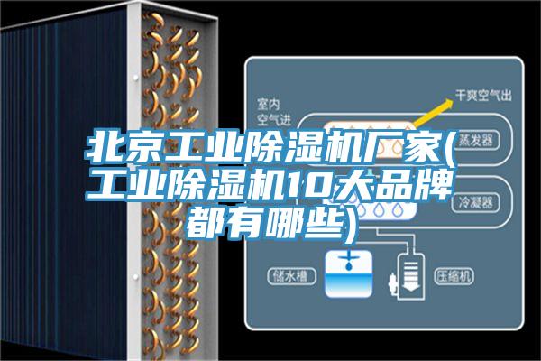 北京工业除湿机厂家(工业除湿机10大品牌都有哪些)