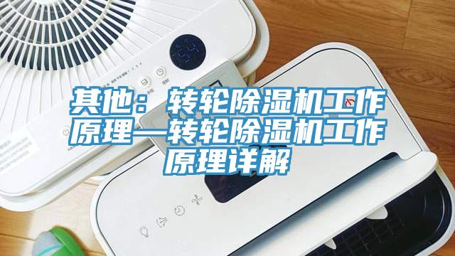 其他：转轮除湿机工作原理—转轮除湿机工作原理详解