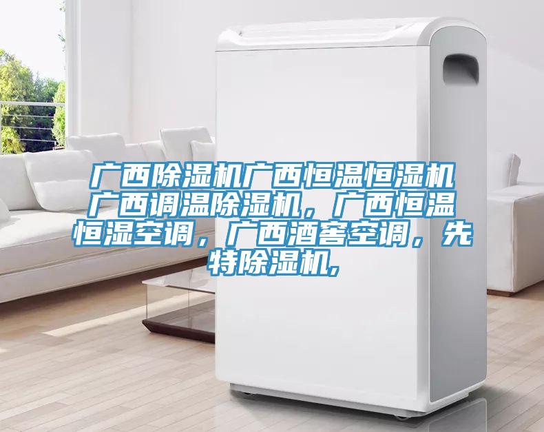 广西除湿机广西恒温恒湿机广西调温除湿机，广西恒温恒湿空调，广西酒窖空调，先特除湿机,