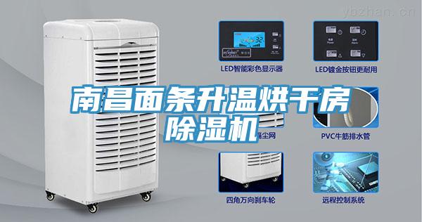 南昌面条升温烘干房除湿机