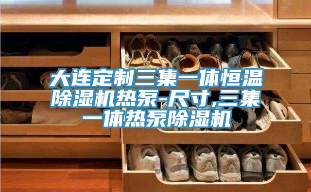 大连定制三集一体恒温除湿机热泵-尺寸,三集一体热泵除湿机