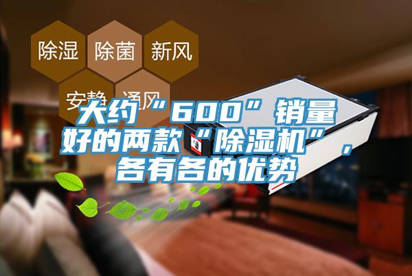 大约“600”销量好的两款“除湿机”，各有各的优势