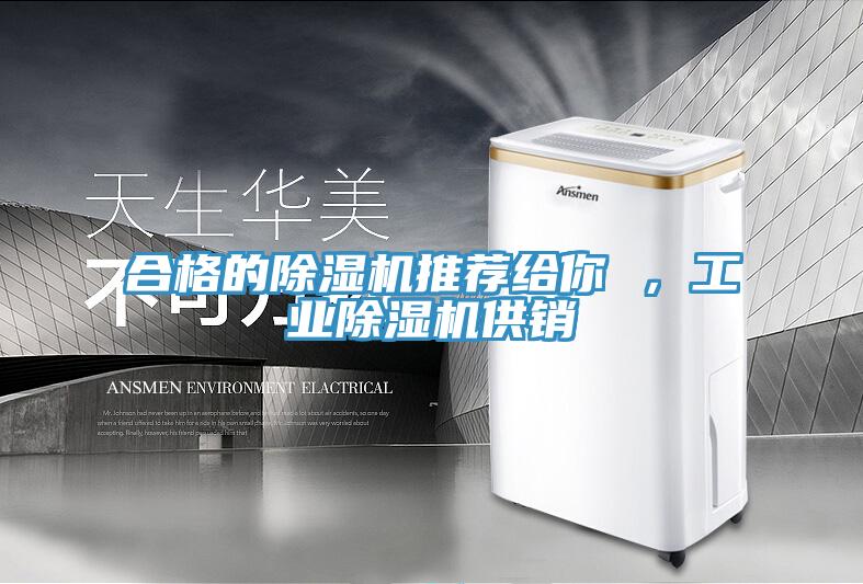 合格的除湿机推荐给你 ，工业除湿机供销