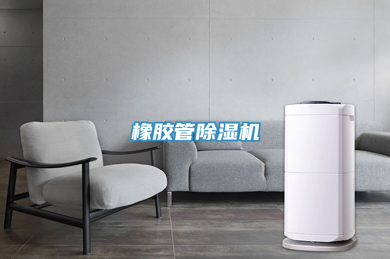橡胶管除湿机