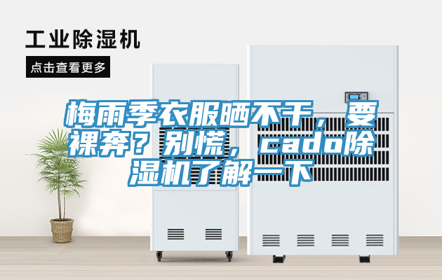 梅雨季衣服晒不干，要裸奔？别慌，cado除湿机了解一下