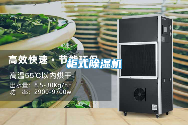 柜式除湿机