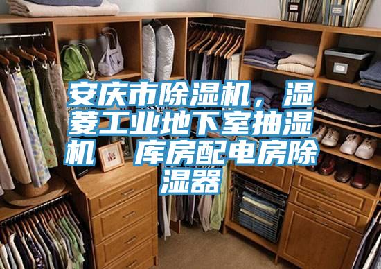 安庆市除湿机，湿菱工业地下室抽湿机  库房配电房除湿器