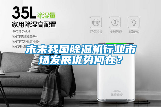 未来我国除湿机行业市场发展优势何在？