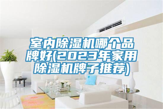 室内除湿机哪个品牌好(2023年家用除湿机牌子推荐)