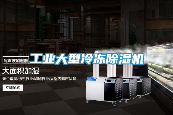 工业大型冷冻除湿机