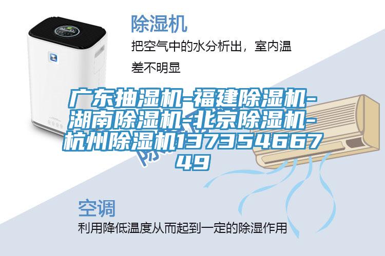 广东抽湿机-福建除湿机-湖南除湿机-北京除湿机-杭州除湿机13735466749