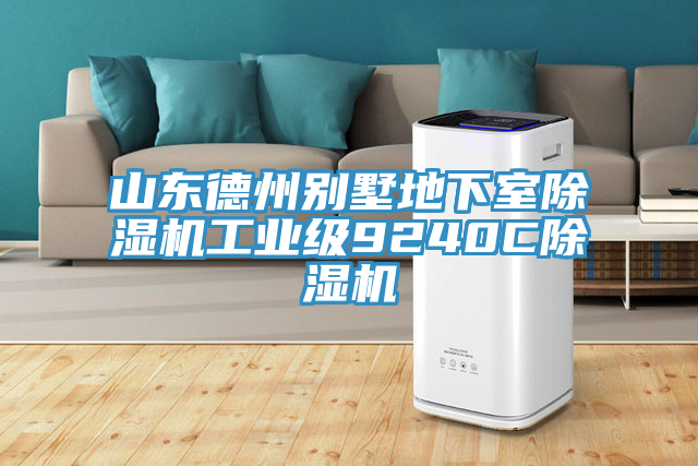 山东德州别墅地下室除湿机工业级9240C除湿机