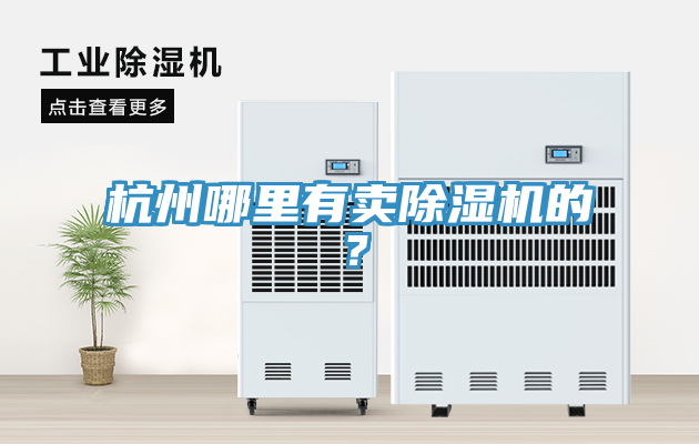 杭州哪里有卖除湿机的？