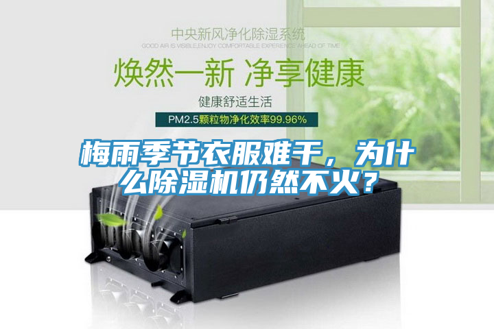 梅雨季节衣服难干，为什么除湿机仍然不火？