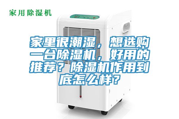 家里很潮湿，想选购一台除湿机，好用的推荐？除湿机作用到底怎么样？