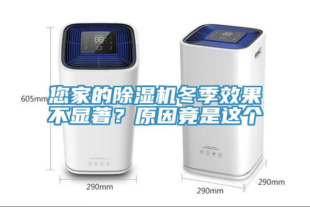 您家的除湿机冬季效果不显著？原因竟是这个